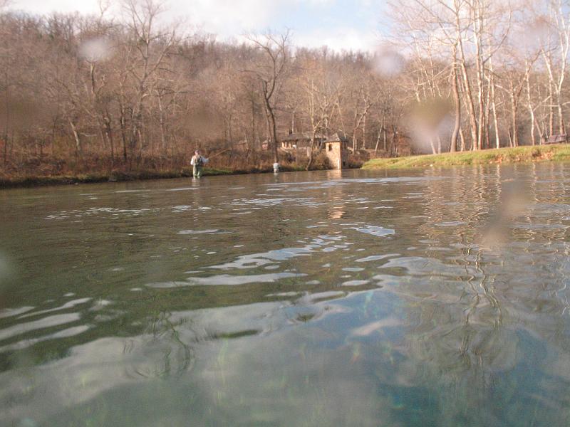 Diving Springs/20101121